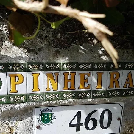 Casa de Férias - Do Douro Cinfães