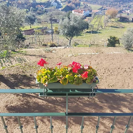 Дом отдыха - Do Douro Синфайнш