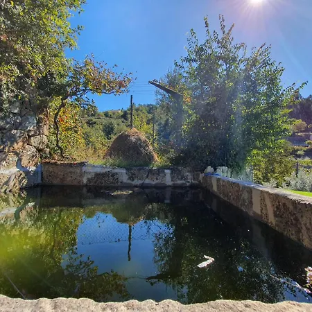 - Do Douro Feriehus Cinfães