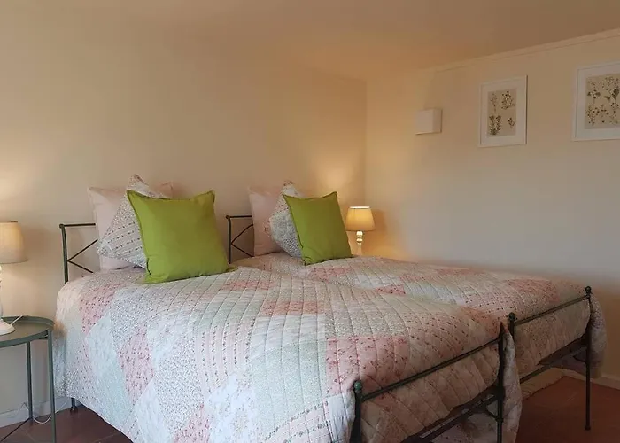 Ferienhaus - Do Douro Cinfães