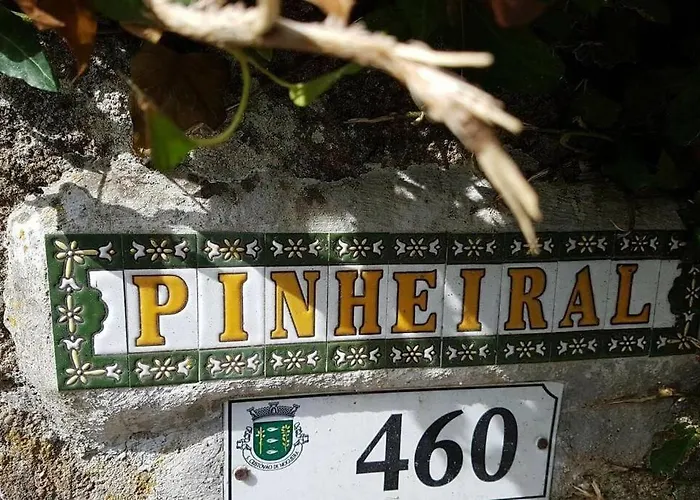 度假居 - Do Douro 辛方伊什