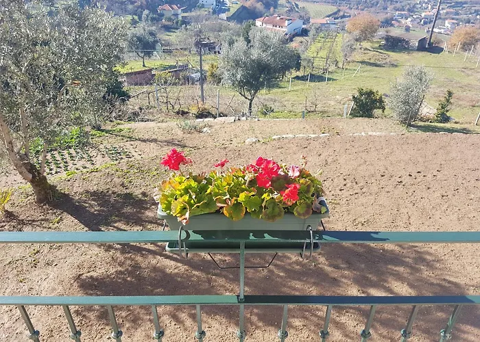 Vakantiehuis - Do Douro Cinfães